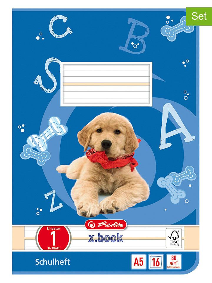 Herlitz 10er-Set: Hefte ''A5/16 Lin.01'' in Blau - onesize