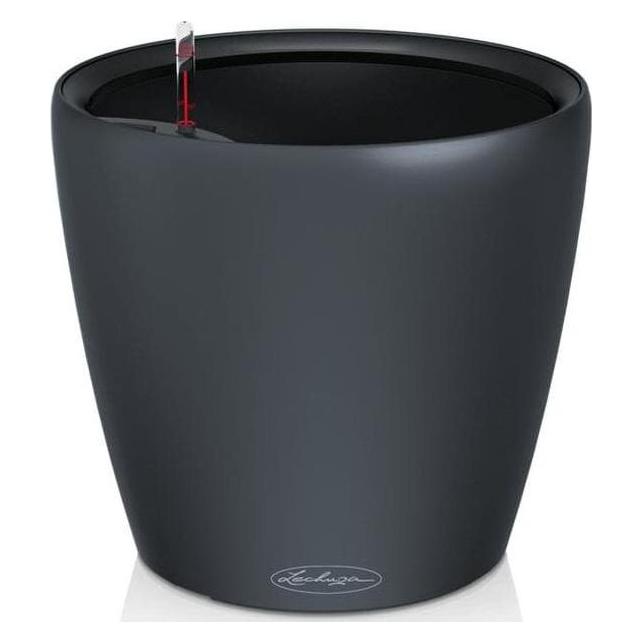 Lechuza Classico Color. (35 x 35 x 32 cm) (14281)