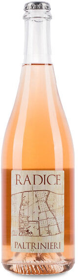 Paltrinieri Lambrusco di Sorbara Radice 2025 - 75cl