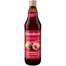 RABENHORST Wohlfühlen mit Eisen Saft 700 ml