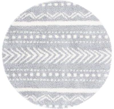 SAFAVIEH Parma Shag Spyrinia Rug