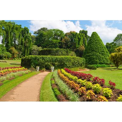 Fototapete PAPERMOON "GARTEN-BLUMEN BÄUME PFLANZEN PARK STEINE WALD BLÜTEN", bunt, B:2,5m L:1,86m, Vlies, Tapeten