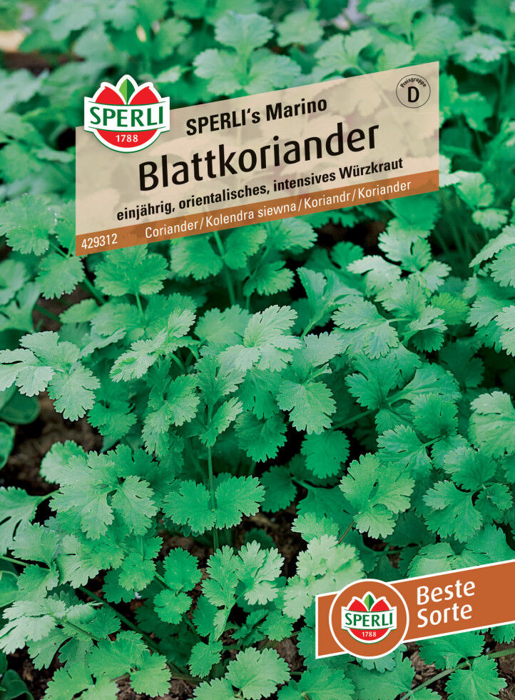 Sperli Blattkoriander Sperli 's Marino