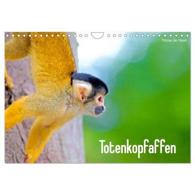 Totenkopfaffen (Wandkalender 2027 DIN A4 quer), CALVENDO Monatskalender