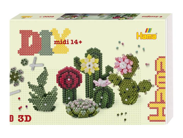 Hama Art Sukkulenten