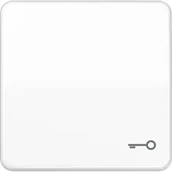 Jung Wippe Symbol TÜR aws CD 590 BFT WW CD590BFTWW