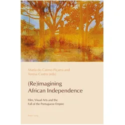 (Re)imagining African Independence, Fachbücher von Cláudia Pazos-Alonso, Paulo De Medeiros, Teresa Castro, Maria do Carmo Piçarra