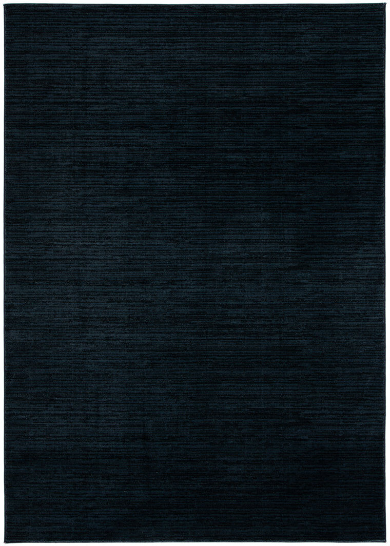 17 Stories Vision Striped Area Rug In Black Black Rectangle 274 x 366 cm