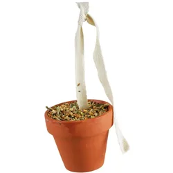 JR FARM Birds Tontöpfchen Wellensittich & Kanarien 80g Vogelsnack