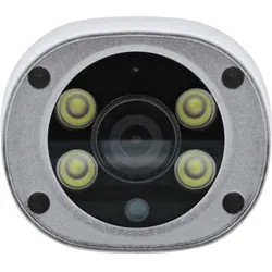 InLine SmartHome HD Kamera aussen mit LED (1920 x 1080 Pixels), Netzwerkkamera, Weiss, Silber