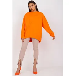 Sweater Model 169746 BFG