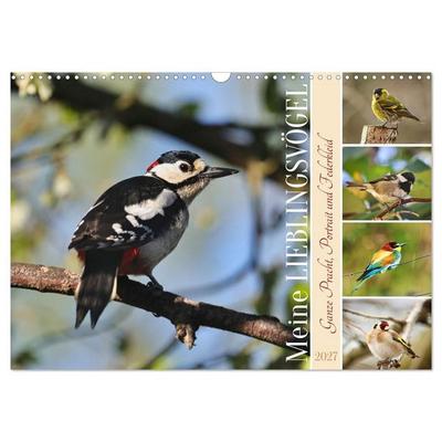 Meine Lieblingsvögel (Wandkalender 2027 DIN A3 quer), CALVENDO Monatskalender