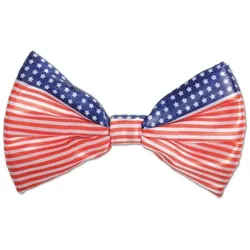 USA Fliege