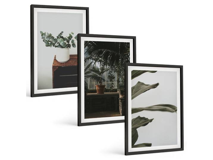 Tulup Bilder SET 3er Set - 40x60 cm Schwarzer Rahmen - Rustikale Topfpflanzen, Kunststoff, Rechteckig, 40x60 cm, Fotografie, Bilder & Rahmen, Bilder