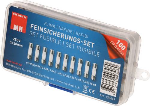 Max Hauri 128449 Feinsicherung-Sortiment (Ø x L) 5mm x 20mm Flink -F- Inhalt 100St.