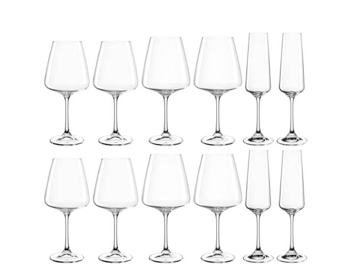 Leonardo Paladino set kelkglazen, set van 12, witte wijn-, rode wijn- en champagneglazen, vaatwasmachinebestendige kelkglazen, champagne- en wijnglazenset, 066313