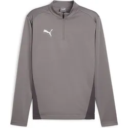 Puma, Herren, Sportshirt, TeamGoal (XS), Grau