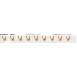 Pollmann 2217307 Phasenschiene G-3L-263/10 ML (15TE) G-3L-263/10ML(15TE)  - 25 Stück