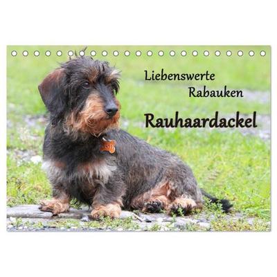 Liebenswerte Rabauken Rauhaardackel / CH-Version (Tischkalender 2027 DIN A5 quer), CALVENDO Monatskalender