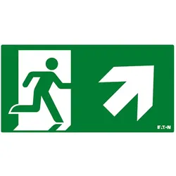 Ceag Notlichtsysteme Piktogramm FT3EWEC-PICTO-UR