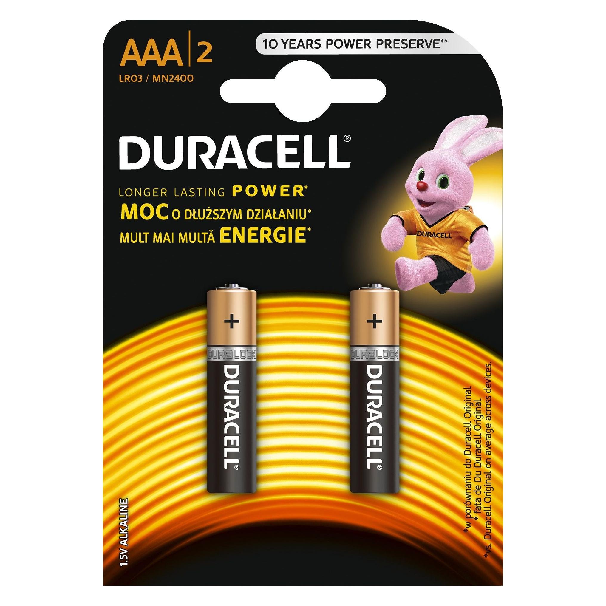 Duracell AAA MN2400 Alkaline LR03 Baterijas (2gab.) (2 Stk., AAA) (05000394077133)