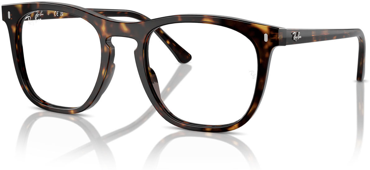 Ray-Ban 2210V (2012) - RB 2210V 2012
