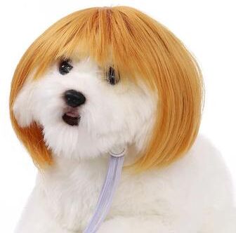 Uplift Treasures Funny Pet Wig Costume Accessory d large