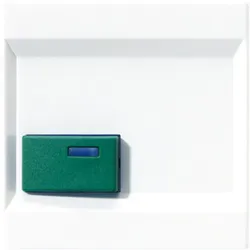 Jung Abdeckung aws LS 642 C WW