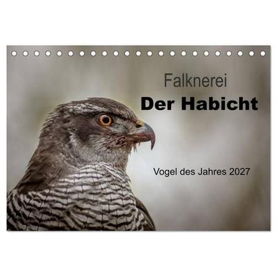 Falknerei Der Habicht (Tischkalender 2027 DIN A5 quer), CALVENDO Monatskalender