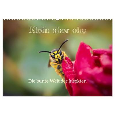 Klein aber oho. Die bunte Welt der Insekten (Wandkalender 2027 DIN A2 quer), CALVENDO Monatskalender