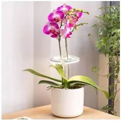 Bioponis, Pflanzenlampe, Zusatztlampe für Zimmerpflanzen und Orchideen (LED)
