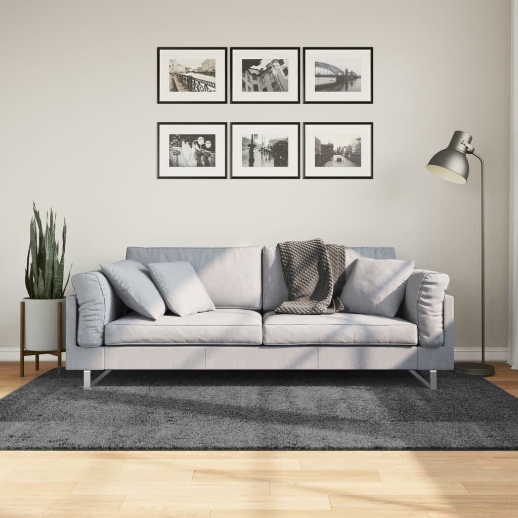 Brayden Studio Studio Rug Short Pile Anthracite Rectangle 140 x 200cm