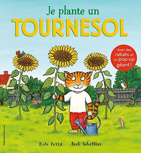 Kate Petty - Je plante un tournesol - Preis vom 17.10.2026 19:25:27 h