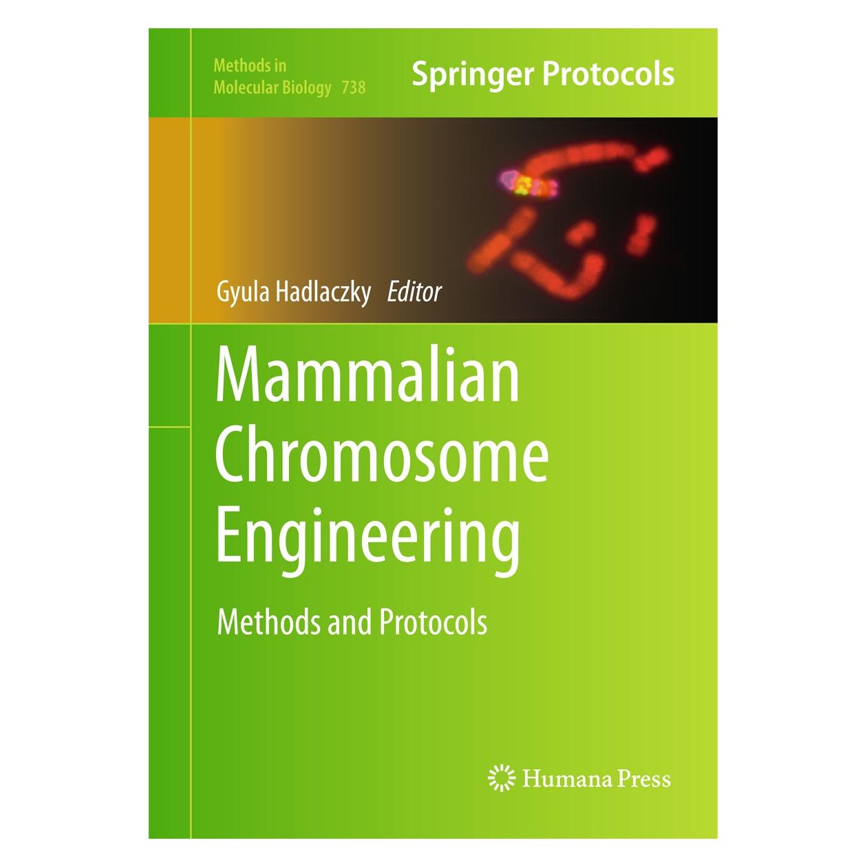 Humana Press Mammalian Chromosome Engineering (Englisch, Hardcover, Gyula Hadlaczky) (9781617790980)