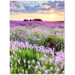 GARTENPOSTER Blumen - Lavendel - Lila - Himmel - Sonnenuntergang - Wiese - Natur Gartendekoration 120x160 cm