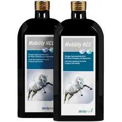derbymed Mobility HCC 2x500ml