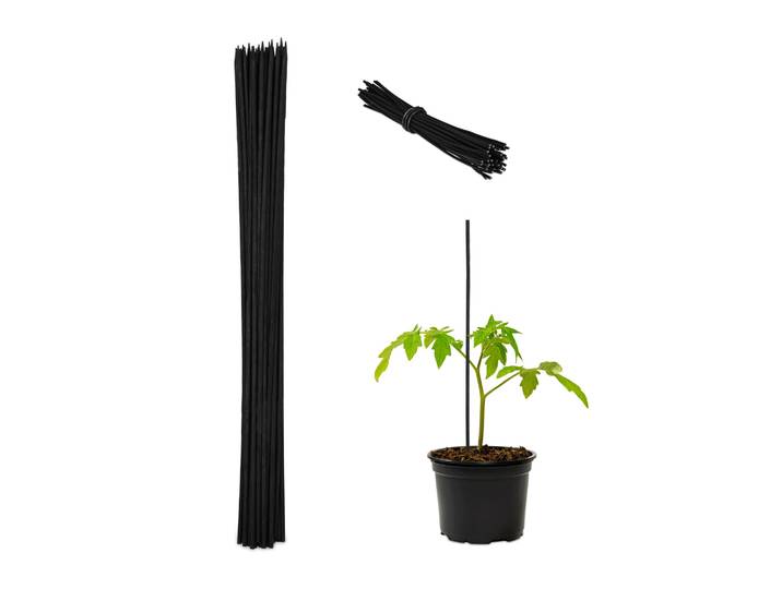 Pflanzenstab 60cm 50er-Set Schwarz