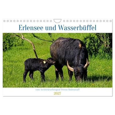 Erlensee und Wasserbüffel (Wandkalender 2027 DIN A4 quer), CALVENDO Monatskalender