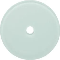 Berker Glasabdeckplatte Schalter 109009