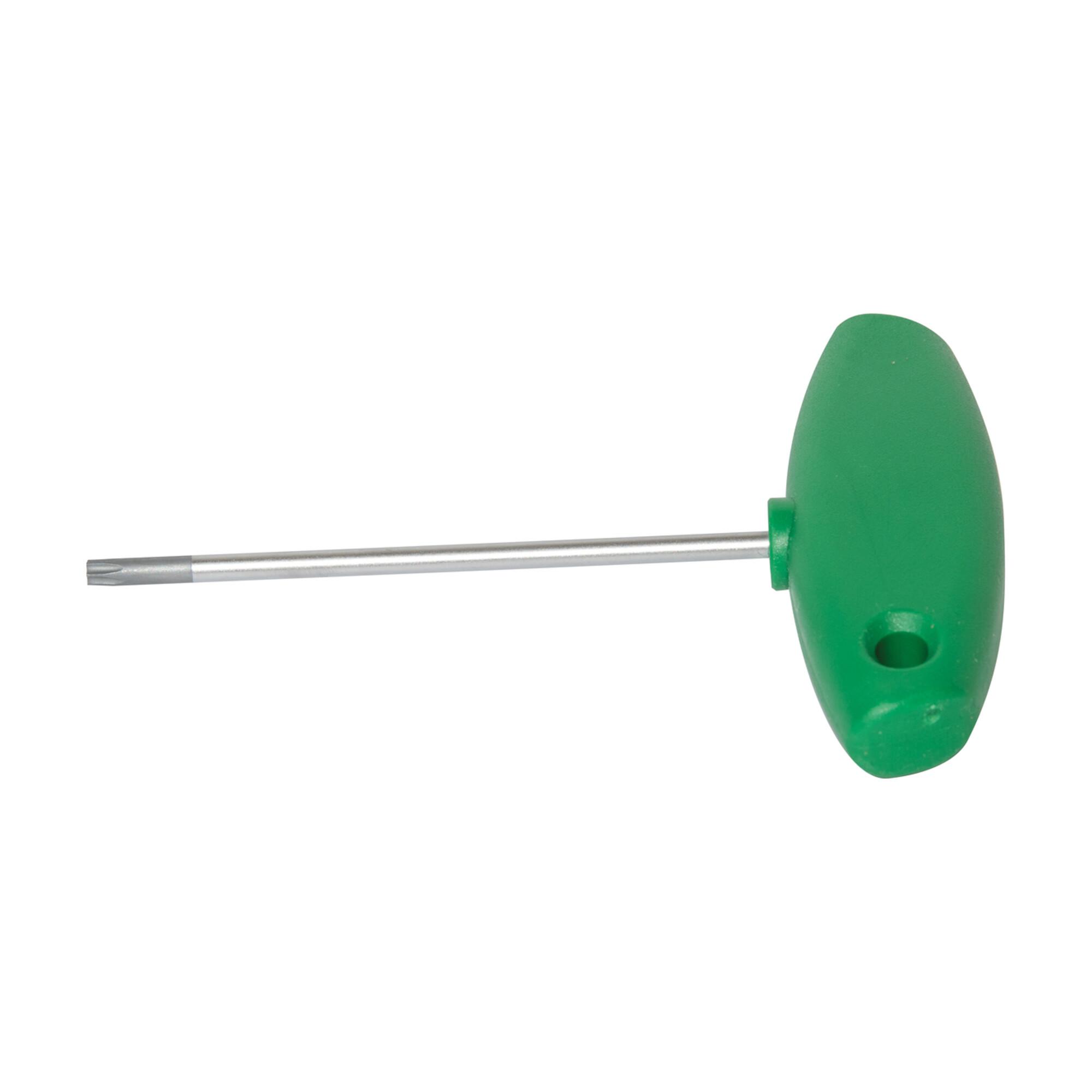 Lamello Schraubendreher mit Quergriff, TX T20x100, grün (271919)