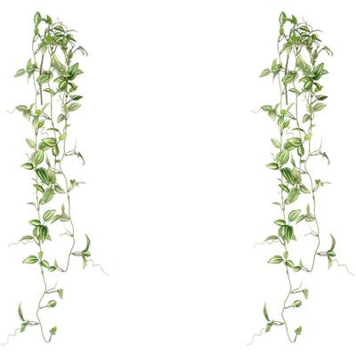 Kunstranke CREATIV GREEN "Tradescantia-Hänger", grün (grün, weiß), B:15cm H:102cm T:9cm, Polyester, Kunstpflanzen