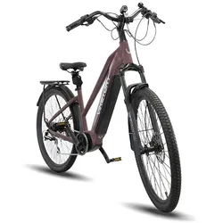 ARENOX E-Bike URBAN Kupfer