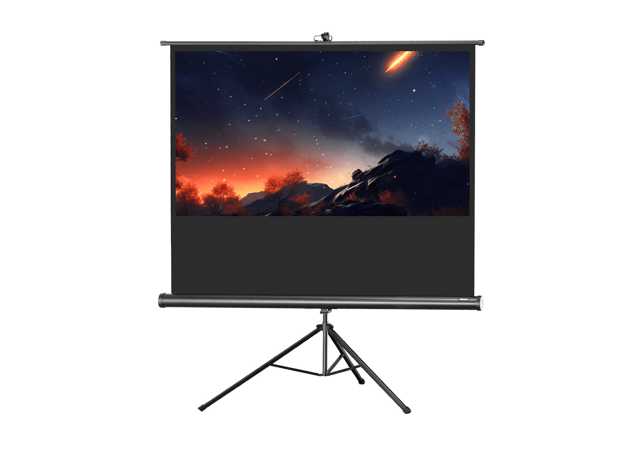 celexon Economy Mobile 244 x 138cm - 110" Stativleinwand