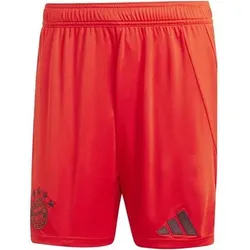 ADIDAS Herren Teamhose FC Bayern München 24/25 Heim, Größe XL in Rot Rot