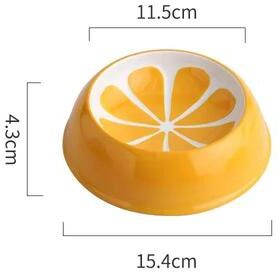 Inspire Essentials Fruit Garden Ceramic Pet Food Bowl orange