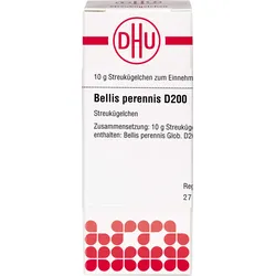 Bellis Perennis D200 10 G
