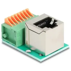 DeLOCK 90653 Kabeladapter RJ45 8 pin terminal block Grün, Silber