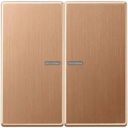 Jung BTBRG17102 JUNG HOME Taster 2fach, mit Lichtleiter, Metall, PVD-beschichtet, Serie LS, Bronze gebürstet BT BRG 17102