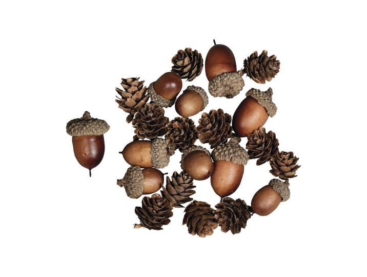 Rayher Eichel-Zapfen Mix 2-4 cm 27 Stück