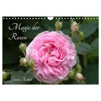 Magie der Rosen (Wandkalender 2027 DIN A4 quer), CALVENDO Monatskalender